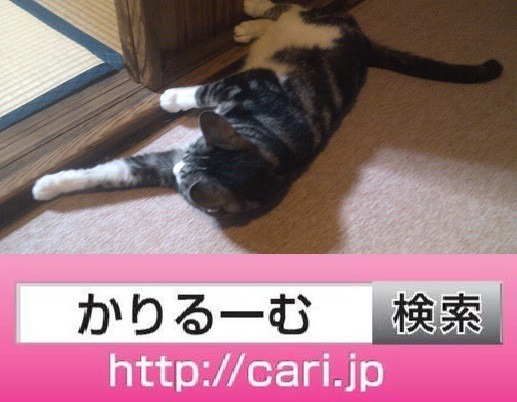 2016/08/13(19:08:47)　猫S　ごろごろ
