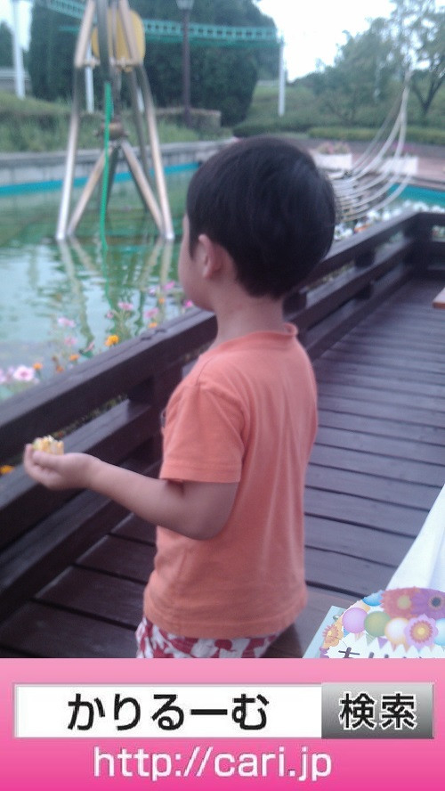 2016/07/17(13:34:27)写真　子Y　碧南市