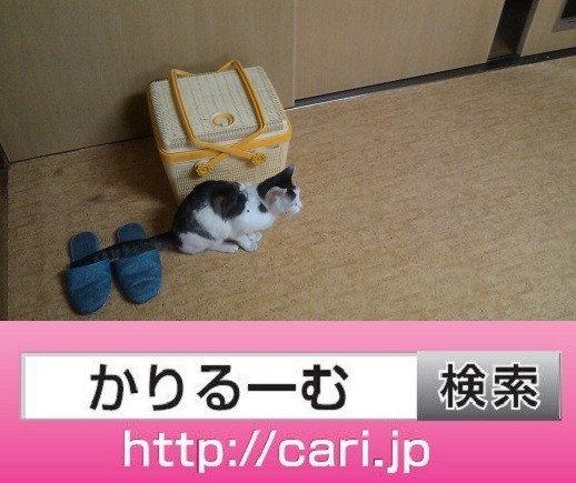2016/08/28(13:26:00)写真　籠の前の猫H