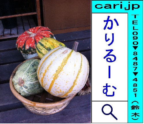 2011/09/26(16:00)A撮影写真