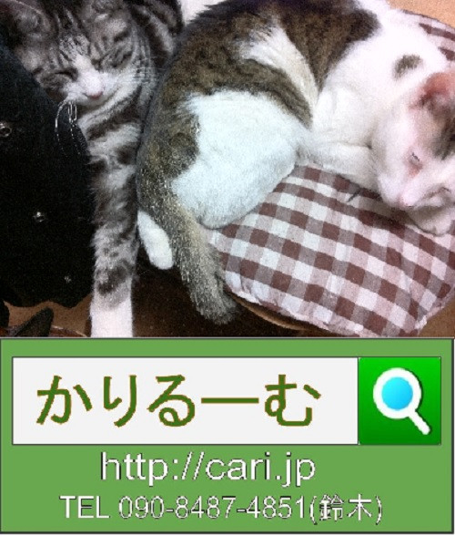2012/03/04(13:56)撮影写真　猫S・H