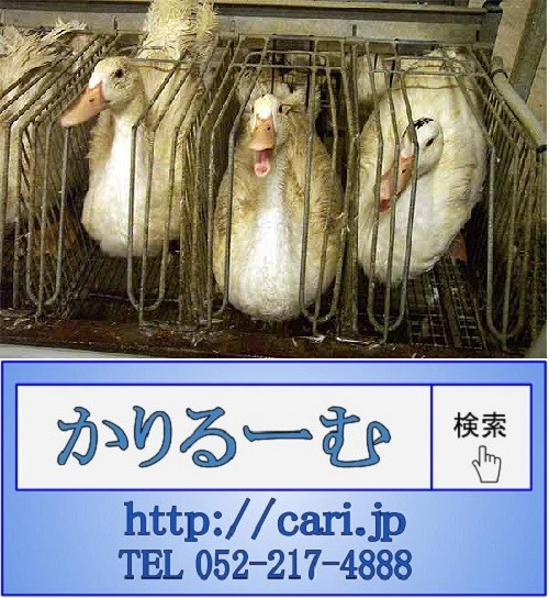 驚愕、業者が知られたくない真実 ダウンの作られ方