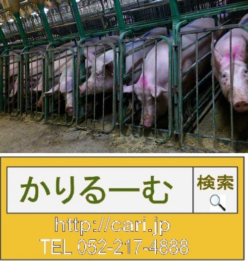 肉が原因？！畜産が深刻な水不足を引き起こすワケ