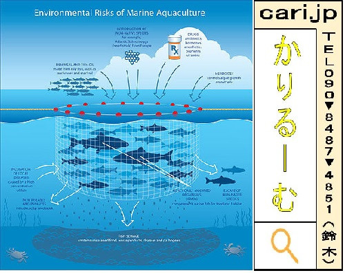 水の畜産施設、養殖が魚にも環境にも良くない理由