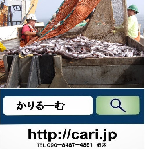 「魚に痛覚は無い」の嘘 魚だって犬や人間と同じで痛い