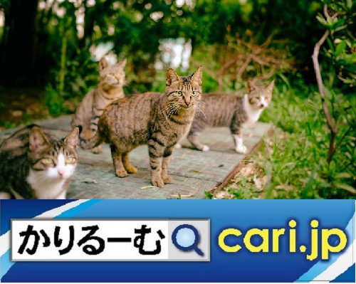 人と猫との穏やかな暮らしの為に地域猫活動に尽力する住人