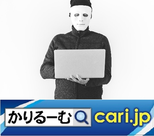 怪しげなネットビジネスへの誘い、勧誘、アドバイス、なりすまし
