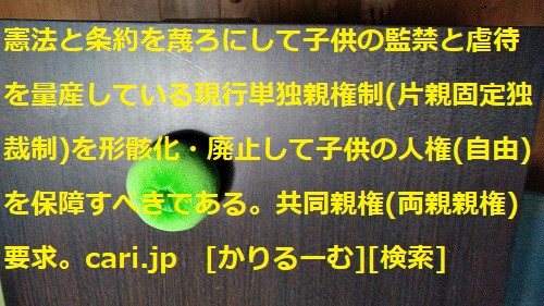 2019年3月分 共同親権 単独親権 togetterまとめ