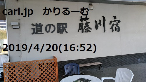 2019年4月分　共同親権　単独親権　cari.jp