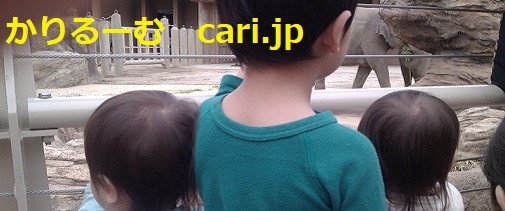 2019年10月分鈴木社長の日誌・日記・備忘 cari.jp