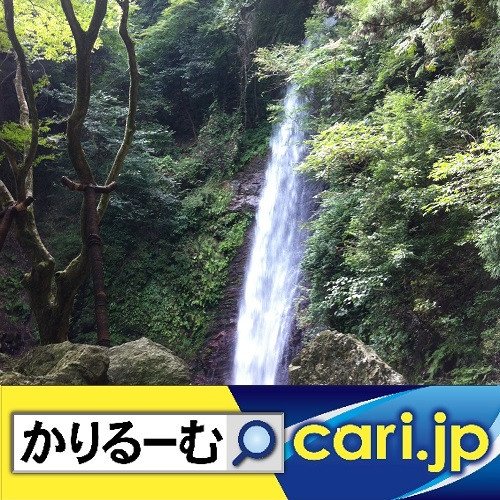 もはや社会現象!鬼滅の刃(きめつのやいば) cari.jp