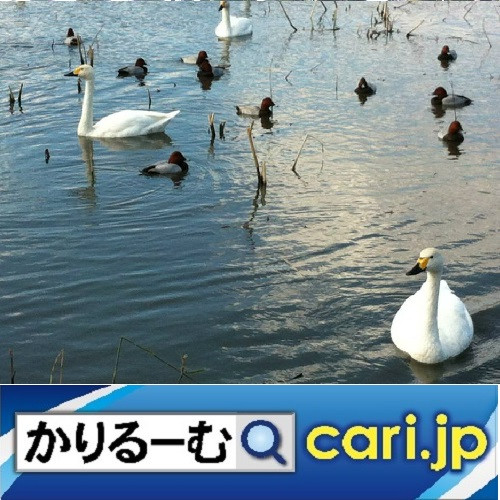 総理（首相）の公邸未入居問題と内閣危機管理センター