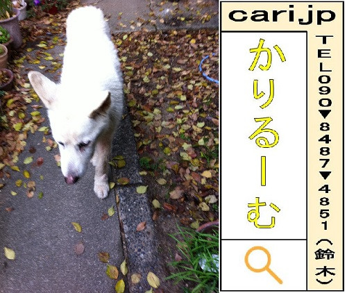 【千日回峰行】 平安時代から受け継がれる最も厳しい修行