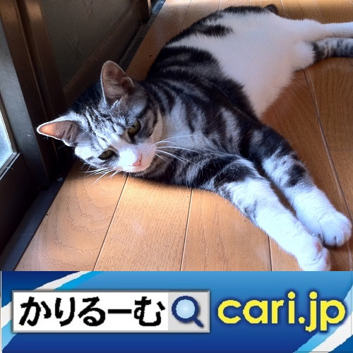 おすすめしたい本 東大教授が教える知的に考える練習
