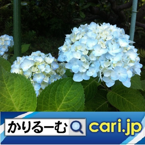 もっと便利に快適に!マイナンバーカードの申請はお済みですか?