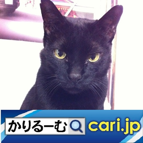 みんな大好き!【ハリー・ポッターカフェ】が期間限定でオープン