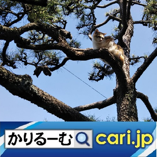 2021年11月分 広報・記事等