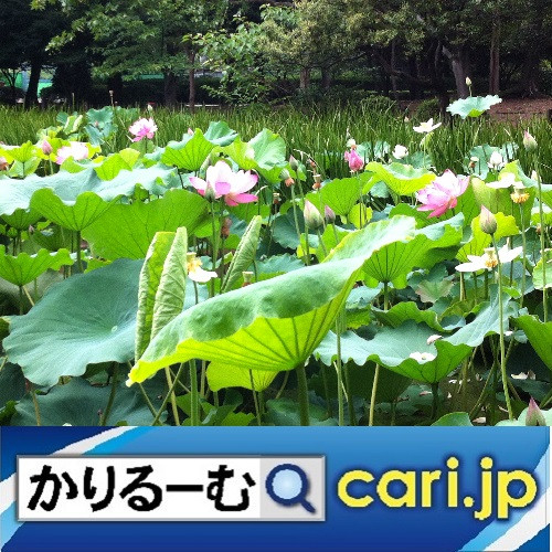 【重要文化財】 旧奈良監獄(奈良少年刑務所)
