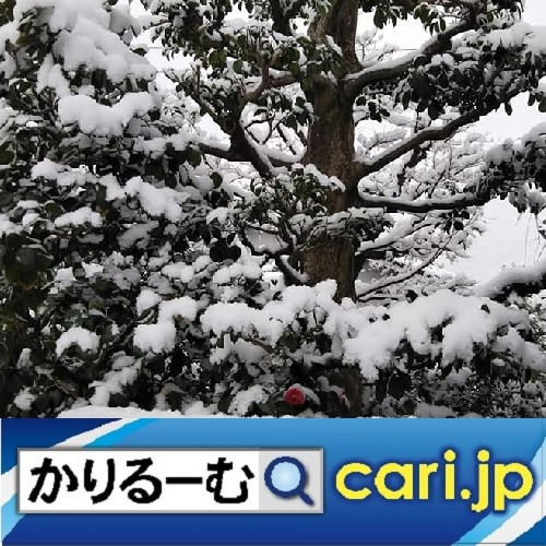 貧すれば鈍する!2022年、貧困パンデミックの日本