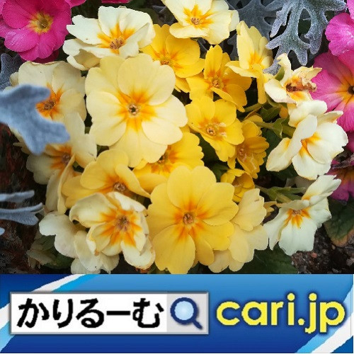 『防衛装備移転三原則』とウクライナへの防衛装備提供