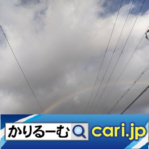 133_rainbow231213w500x500_2